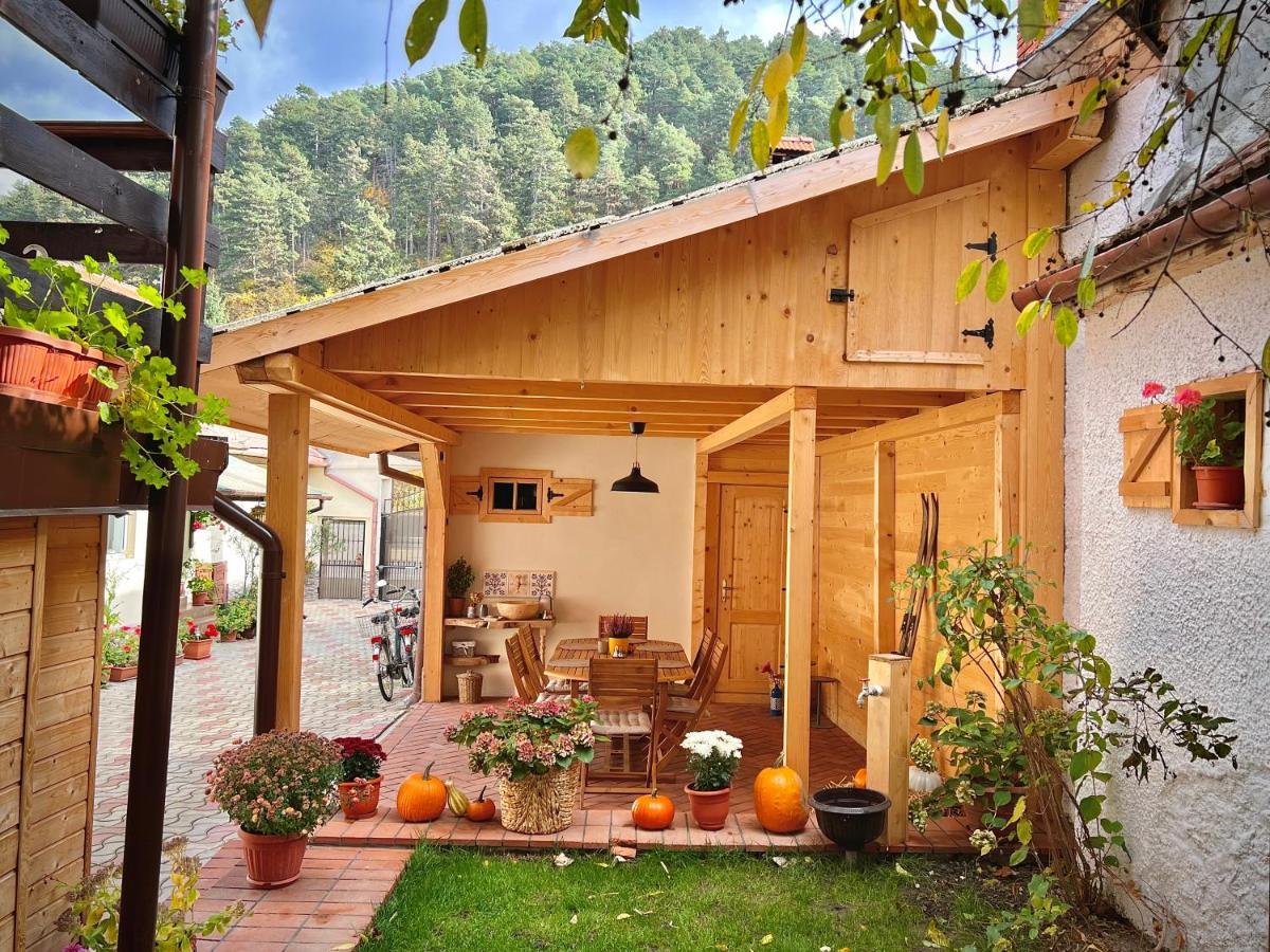 Victoria Gasthaus Rasnov - Charming Vacation House In Rasnov Exteriér fotografie